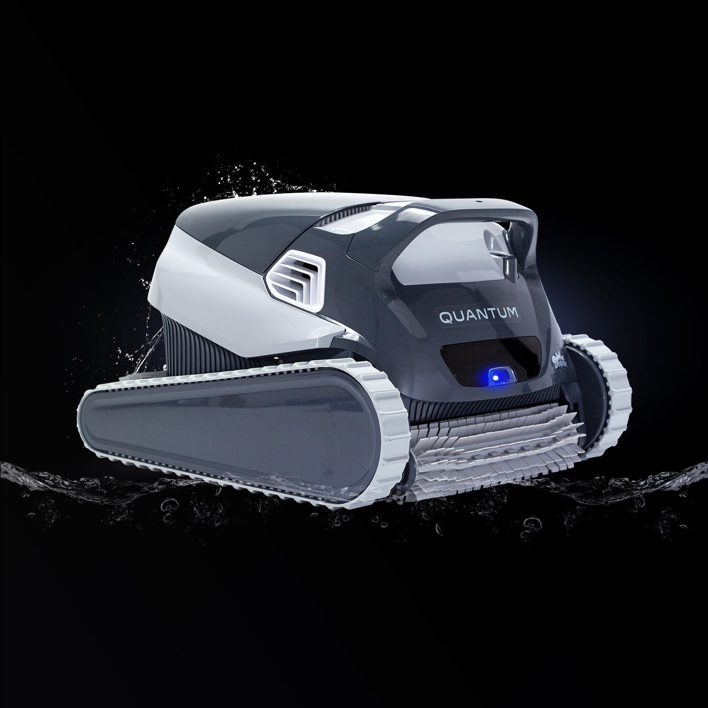 Dolphin Quantum