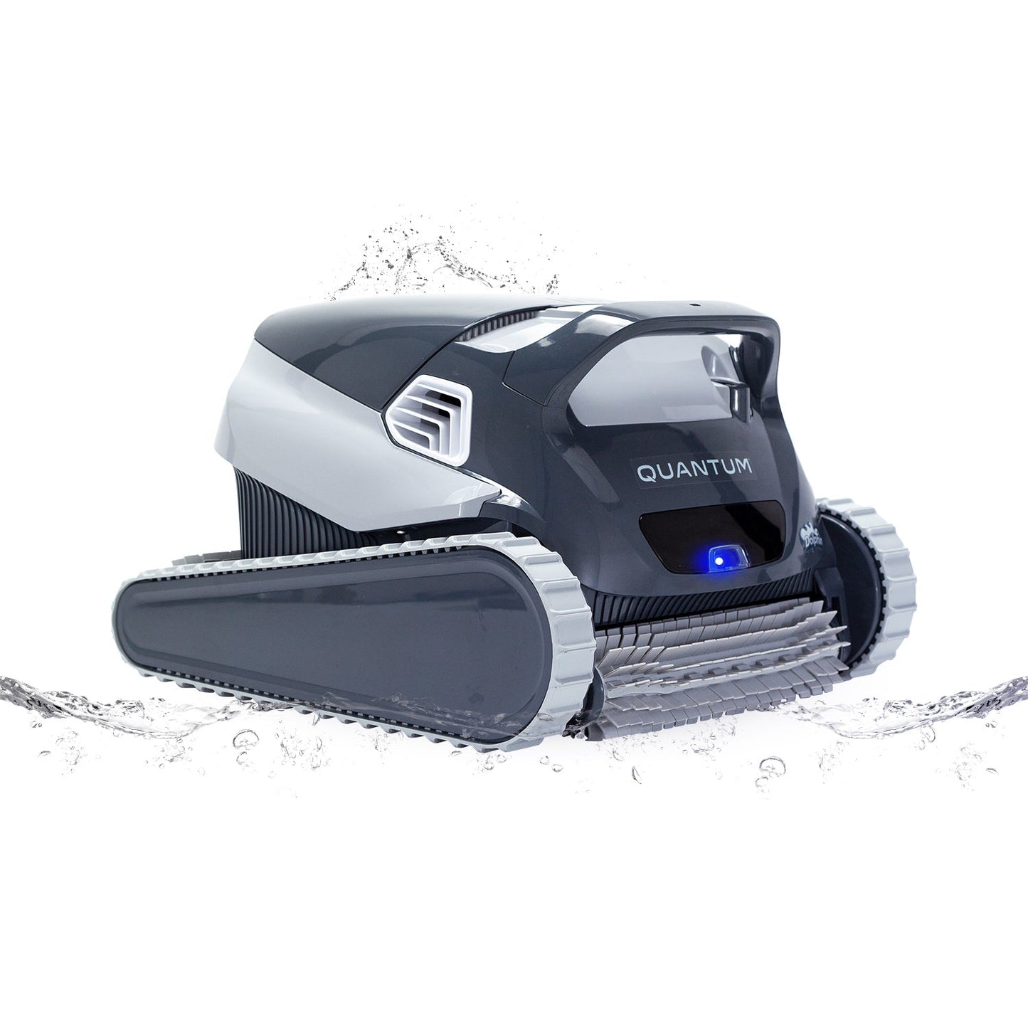 Dolphin Quantum