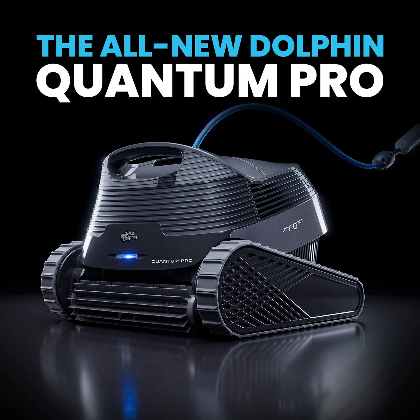Dolphin Quantum